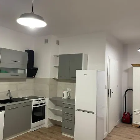 Apartament Lodzianina Apartment